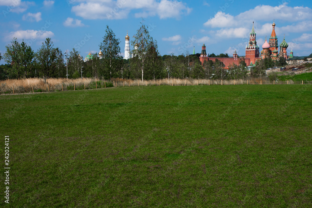 Ivan the Great Bell Tower, Moscow Kremlin and big green meadow. Landscape with the symbols of Russia: the Moscow Kremlin, nature - birches, fields.
