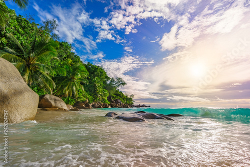 Fototapeta Naklejka Na Ścianę i Meble -  sunny day on paradise beach anse georgette,praslin seychelles 49