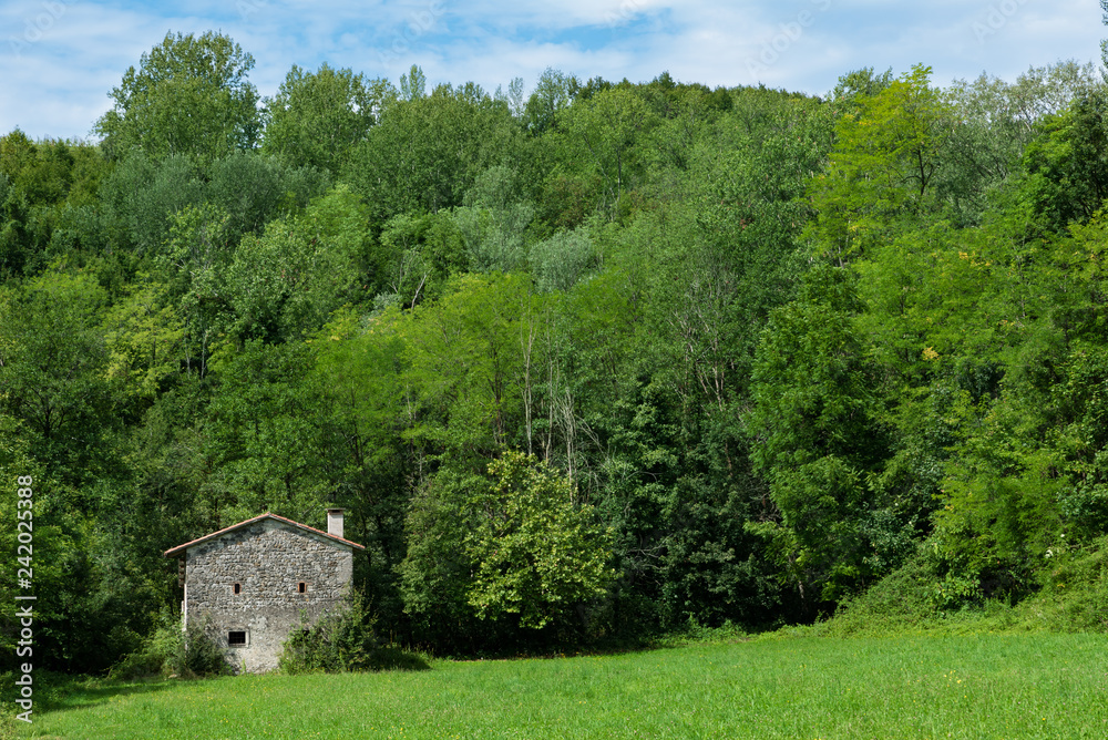 Stone house in the meadow