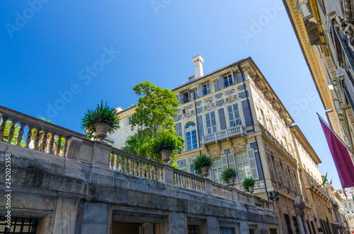 Balustrade with green plants and flowers of Palazzo Doria Tursi palace classic typical building on Via Garibaldi street in historical centre of old european city Genoa (Genova), Liguria, Italy