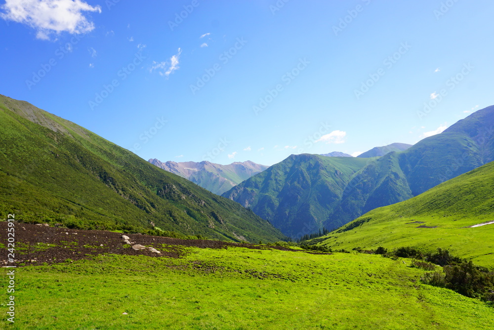 緑の大自然をトレッキング