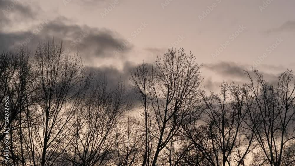 Winter time lapse of storm clouds and trees with spooky light. Winter time lapse of storm clouds and trees with spooky light.