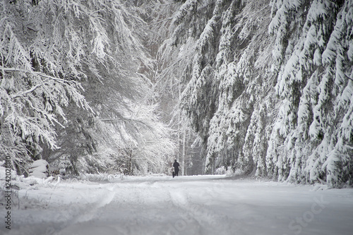 Spaziergang durch den verschneiten Wald