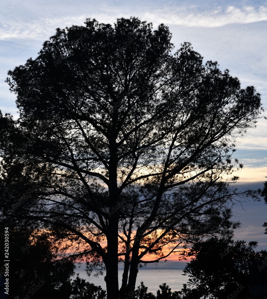 Obraz premium Coucher de soleil