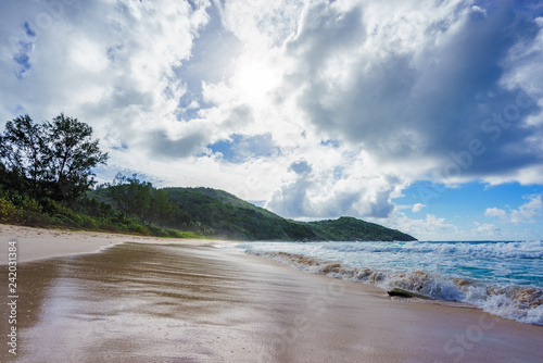 Fototapeta Naklejka Na Ścianę i Meble -  wild tropical beach at police bay on the seychelles 12