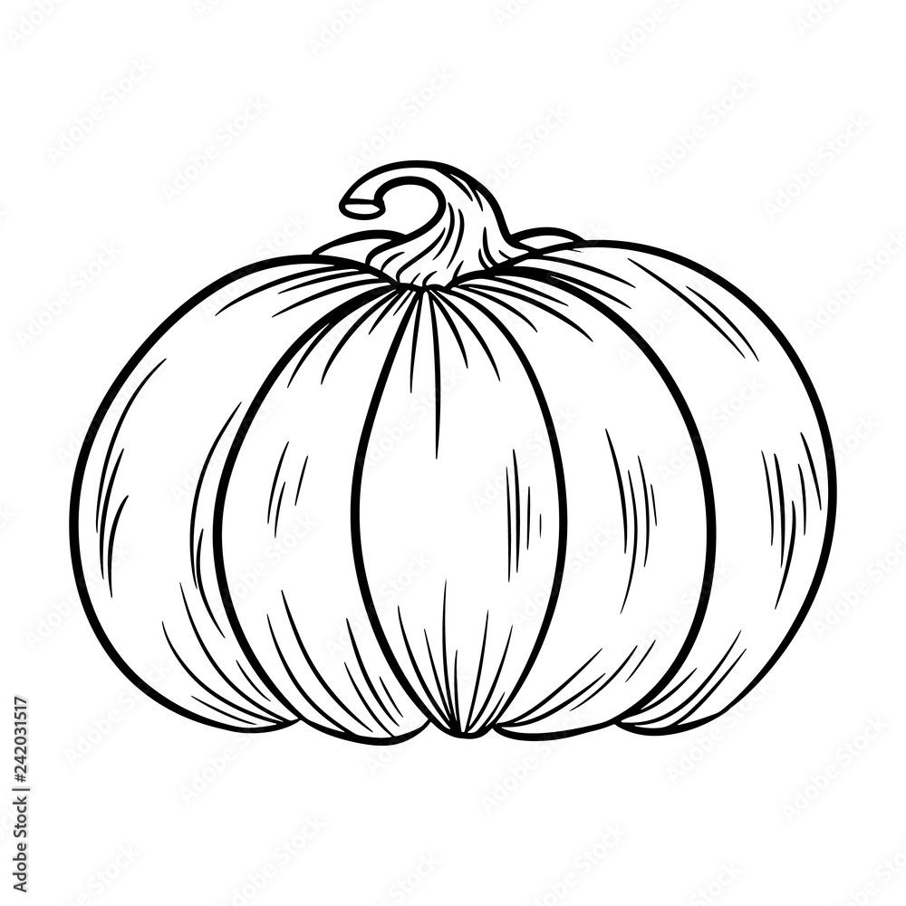Pumpkin outline contour isolated sketch. Autumn symbol Pumpkin outline contour isolated sketch. Autumn symbol