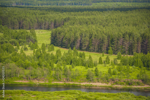 beautiful landscape river delta with meadows and forest on a sunny day