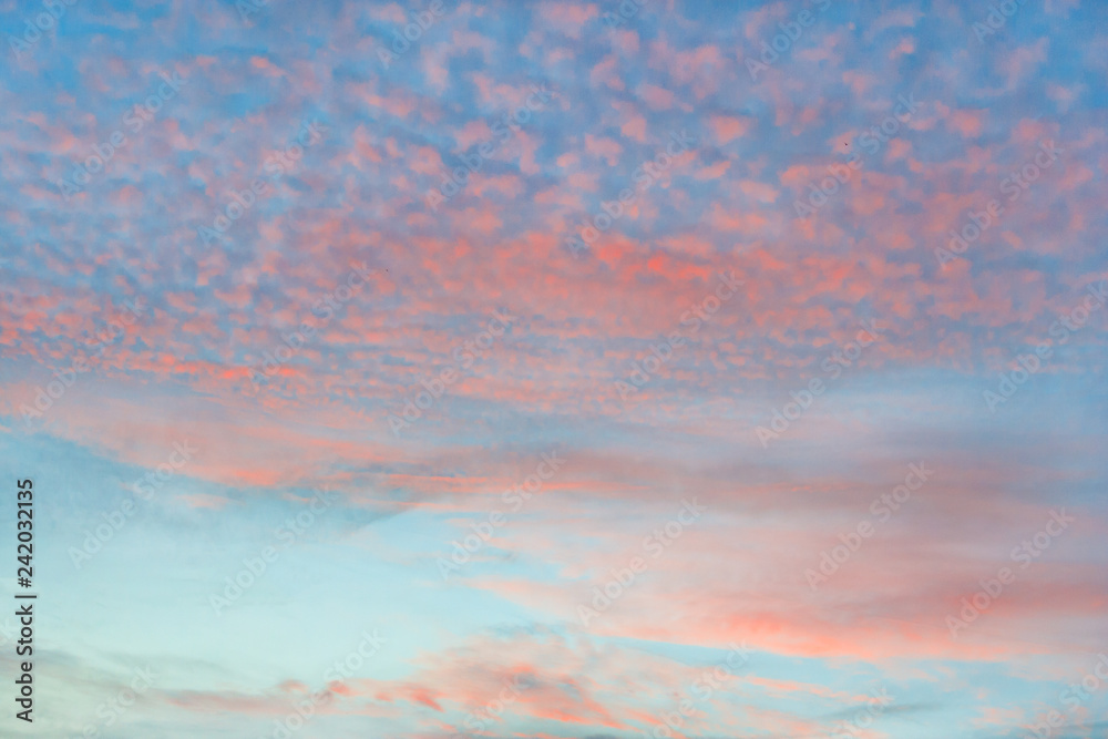 Orange cirrocumulus clouds in azure sky