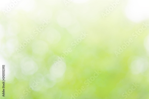 Natural blurred summer background of green foliage illuminated by sunlight (abstract, bokeh, toned)