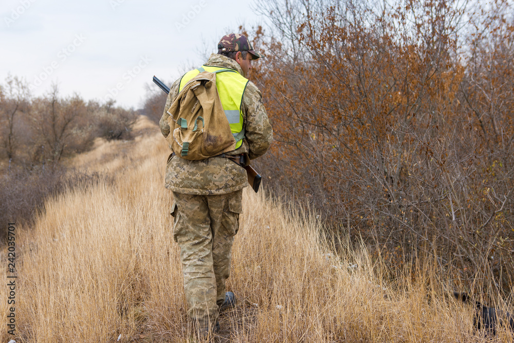 Hunter with a gun and a dog go on the first snow in the steppe, Hunting pheasant in a reflective vest Hunter with a gun and a dog go on the first snow in the steppe, Hunting pheasant in a reflective vest
