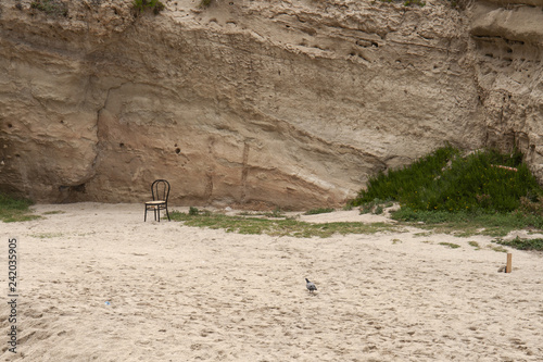 la solitudine in una spiaggia photo