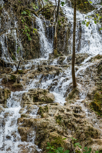 natural waterfalls in Plitvice Lakes National Park; beautiful natural landscape with forest and waterfalls; the water flows out of the forest