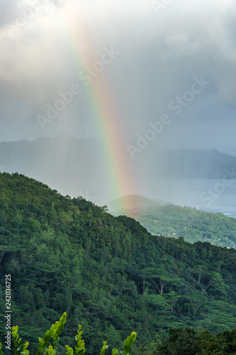 rainbow and rain over the jungle and mountains of mahé, seychelles 7