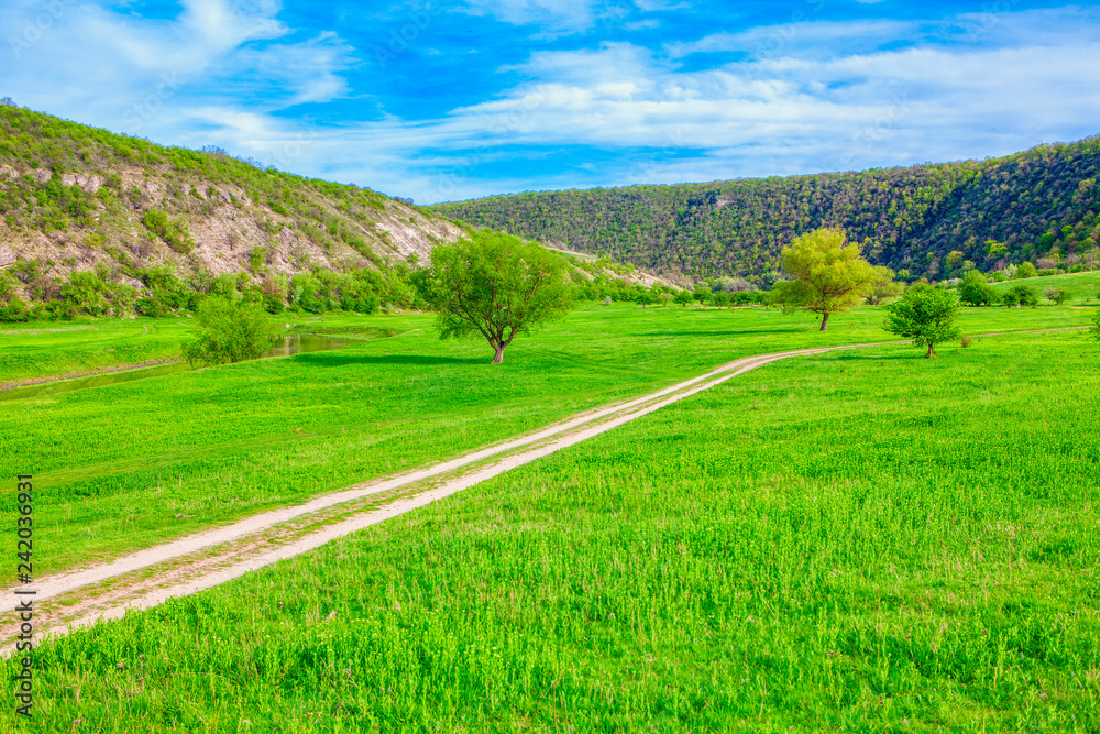 picturesque image with green nature