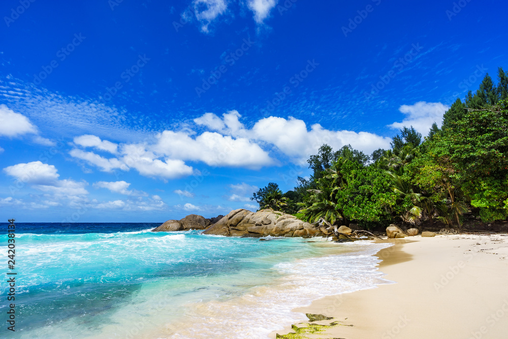 Beautiful tropical beach,palms,white sand,granite rocks,seychelles 20