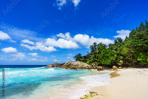 Fototapeta Naklejka Na Ścianę i Meble -  Beautiful tropical beach,palms,white sand,granite rocks,seychelles 20