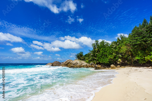 Fototapeta Naklejka Na Ścianę i Meble -  Beautiful tropical beach,palms,white sand,granite rocks,seychelles 17