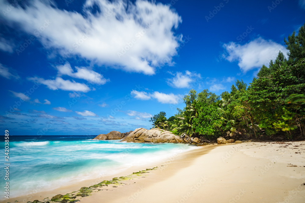 beautiful paradise tropical beach,palms,rocks,white sand,turquoise water, seychelles 32