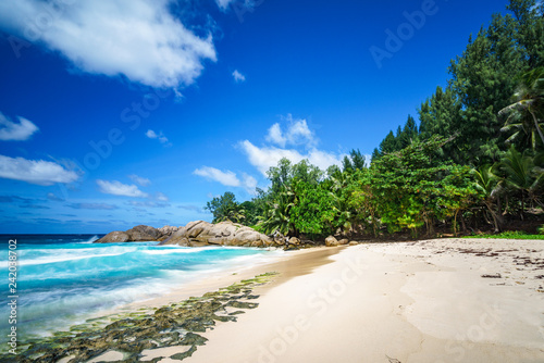 beautiful paradise tropical beach palms rocks white sand turquoise water  seychelles 42