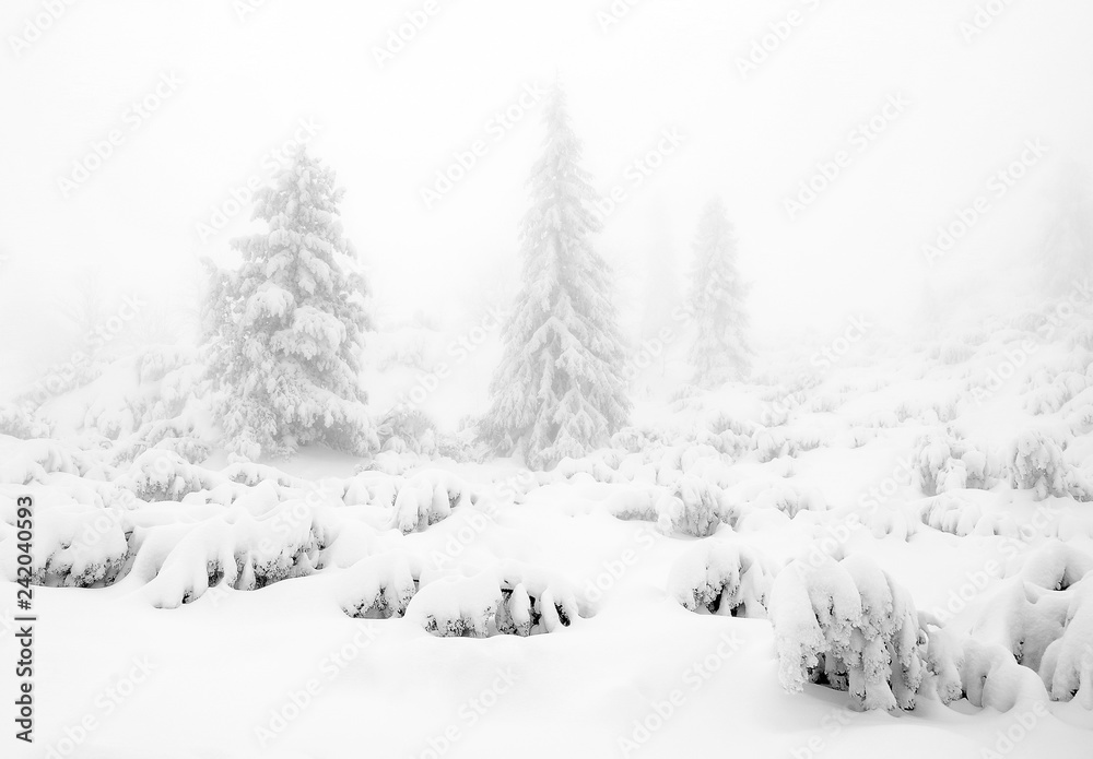 Winter alpine landscape in National Park Retezat, Carpathians, Romania, Europe. Snow covered moutains scenery