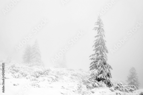 Winter alpine landscape in National Park Retezat, Carpathians, Romania, Europe. Snow covered moutains scenery.