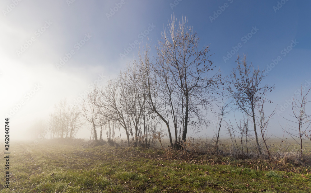 rural landscape with fog clearing at the first light of the sun rural landscape with fog clearing at the first light of the sun