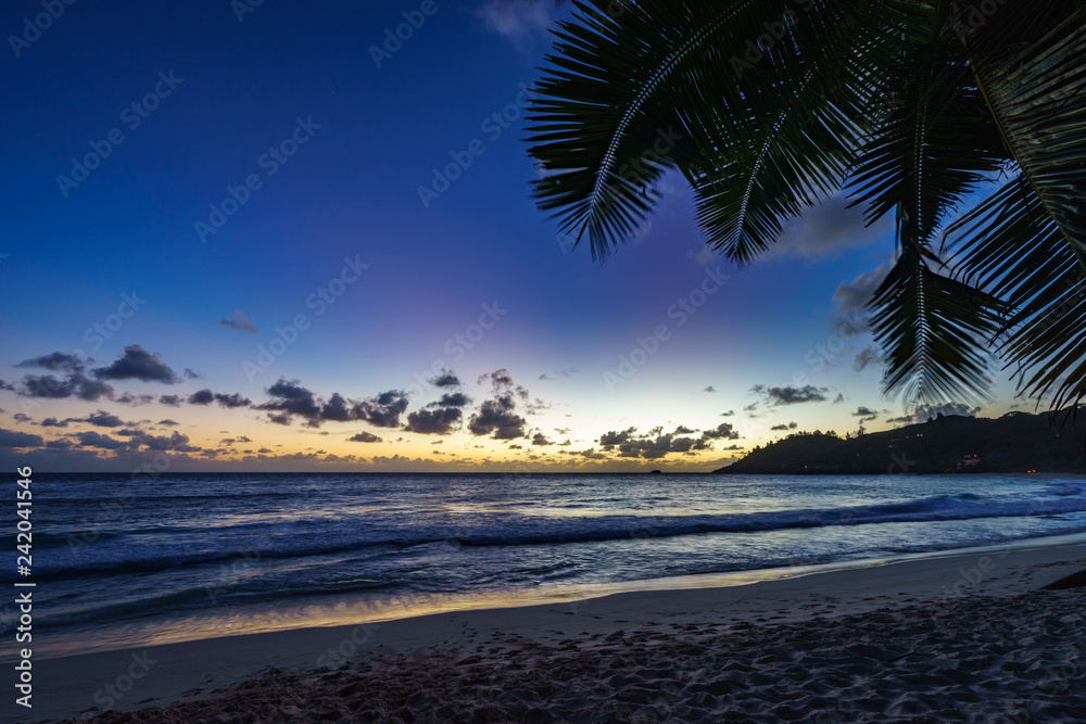 after sunset at tropical beach behind palm leaf,anse intendance, seychelles 1