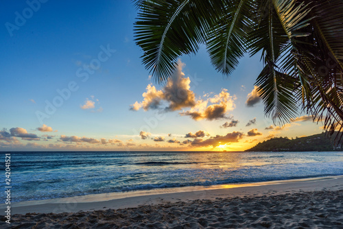 sunset at tropical beach behind palm leaf,anse intendance, seychelles 3