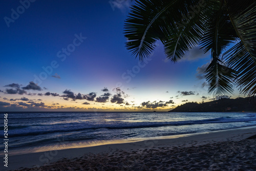 after sunset at tropical beach behind palm leaf,anse intendance, seychelles 1