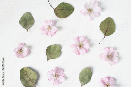 Feminine floral pattern. Dry eucalyptus leaves and pink Japanese cherry tree blossoms on old white wooden table background. Flat lay, top view.