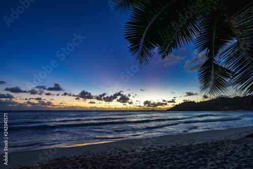 after sunset at tropical beach behind palm leaf,anse intendance, seychelles 2