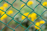 iron wire fence, in the background the yellow flowers are not in focus.