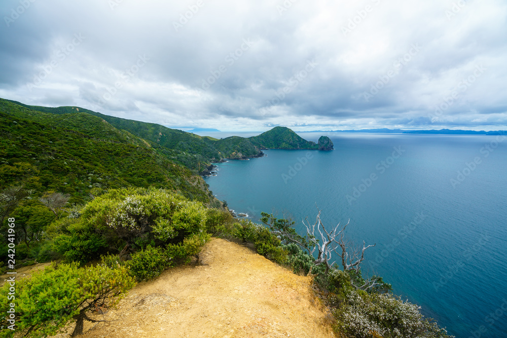 Hiking the Coromandel Coastal Walkway, New Zealand 6 Hiking the Coromandel Coastal Walkway, New Zealand 6