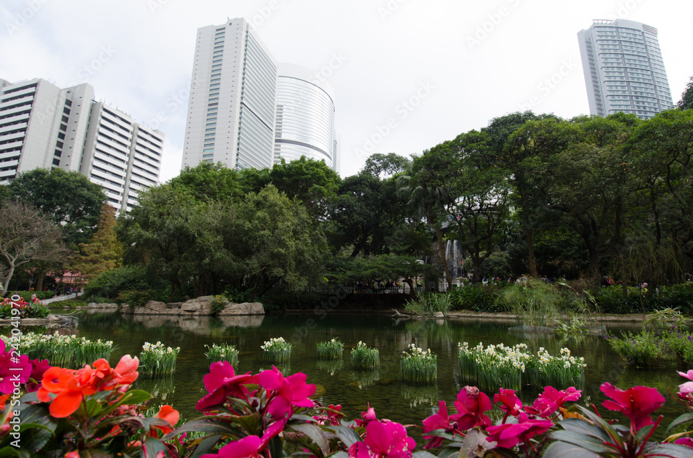 Fototapeta premium Park and pond in the city with skyscrapers