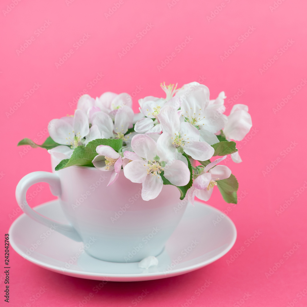White spring apple tree blooming flowers in a cup White spring apple tree blooming flowers in a cup