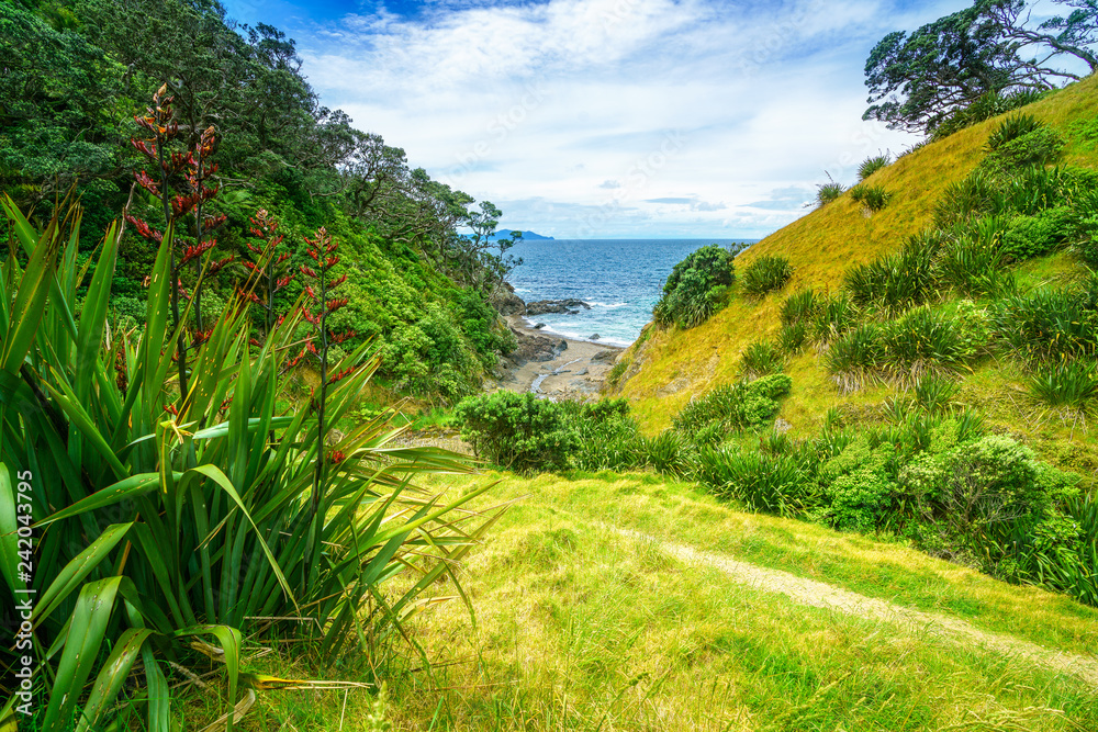Hiking the Coromandel Coastal Walkway, New Zealand 39
