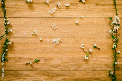 Blooming sprigs of cherry on a wooden surface