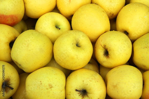 fresh yellow apples in box