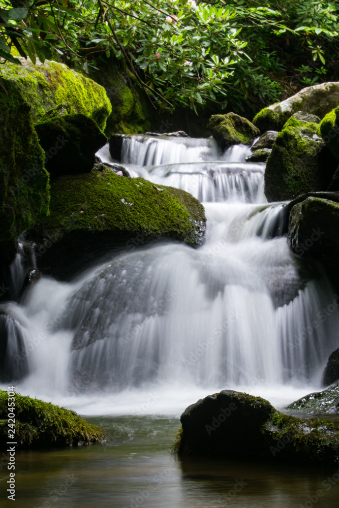 Obraz premium Beautiful Waterfall on Goshen Creek