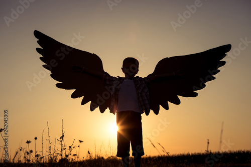 Little boy playing with cardboard toy wings in the park at the sunset time. © altanaka