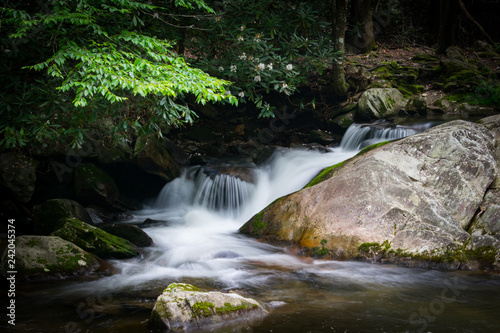 Beautiful Waterfall on Steels Creek