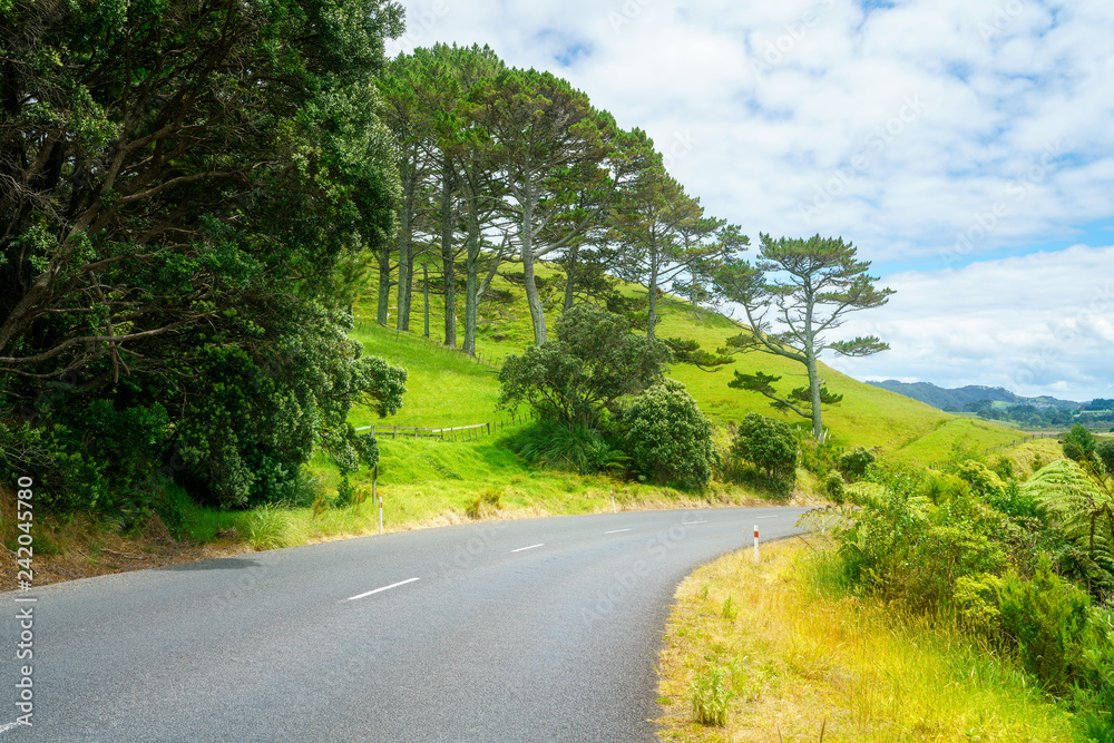 Fototapeta premium road in green hills,coromandel peninsula, new zealand 4