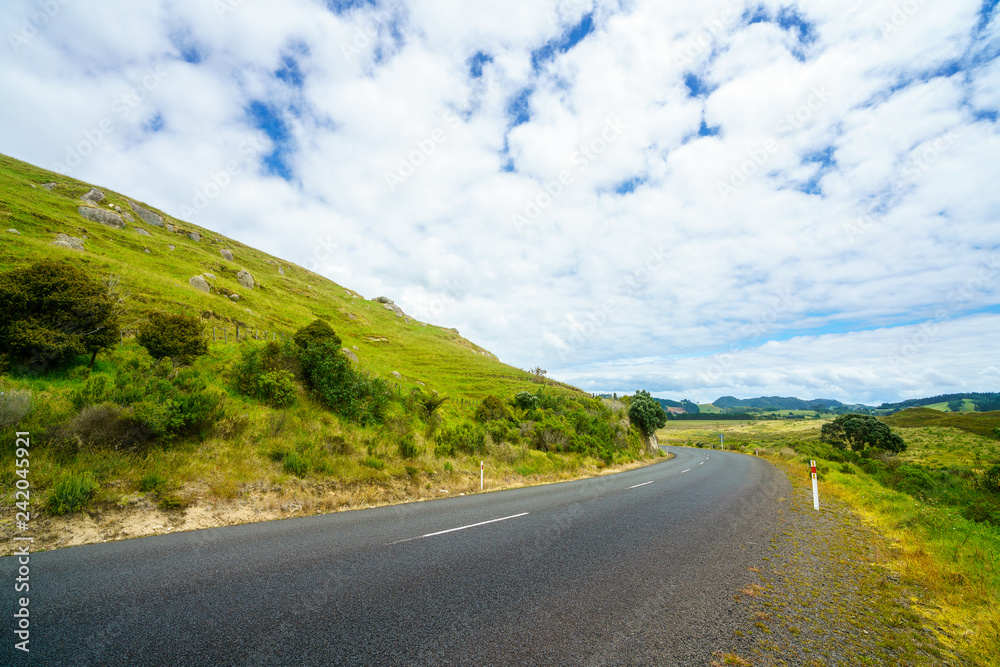 Naklejka premium road in green hills,coromandel peninsula, new zealand 7