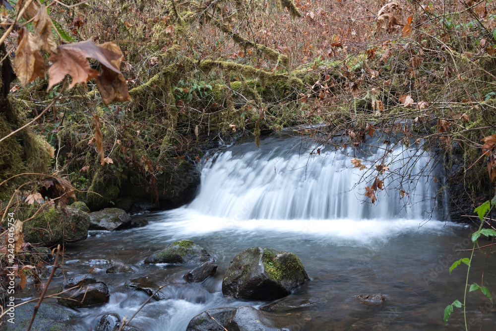 Fototapeta premium Hidden Falls at Mcdowell Creek Fall in Oregon