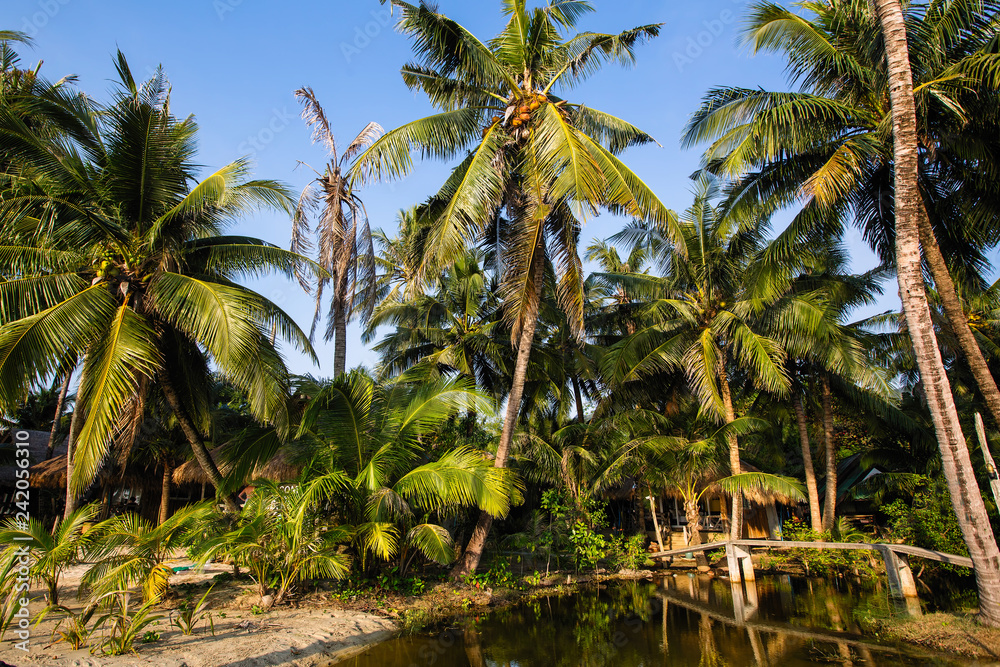 Beautiful beach in tropics.