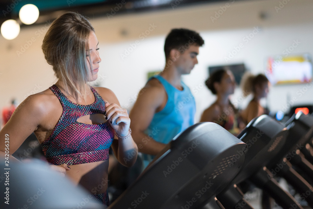 Group of people training on treadmill in gym indoors club. Blinde beauty 20s woman in foreground Group of people training on treadmill in gym indoors club. Blinde beauty 20s woman in foreground