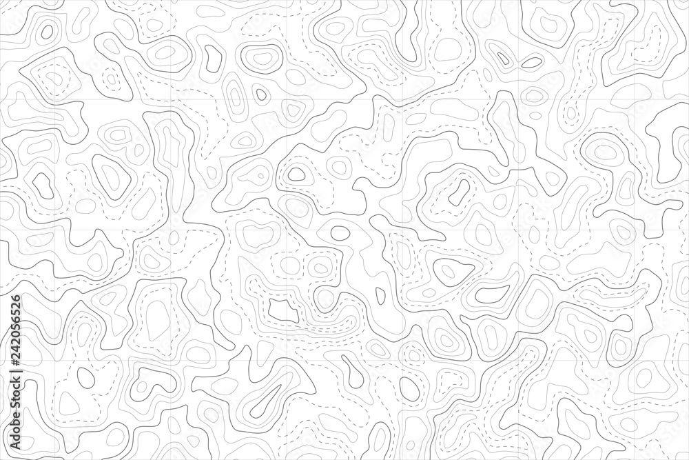 Relief topographic map of the area with high-level contour contours and geodetic grid. Abstract vectror line background.