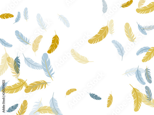 Falling feather elements soft vector design.