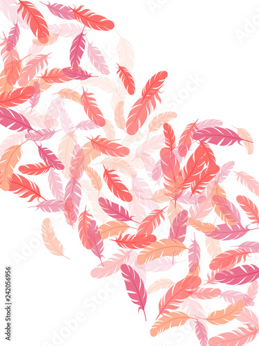 Detailed majestic feather on white design.
