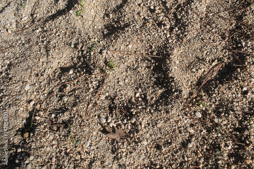 Texture of brown sandy soil with stones and dry leaves. Image taken with daylight.